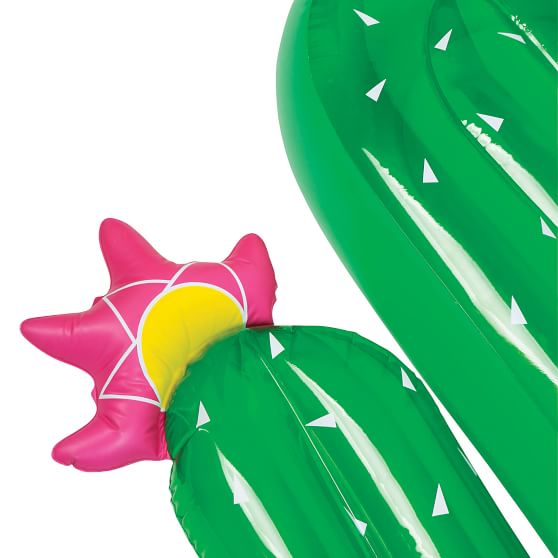 cactus pool floats