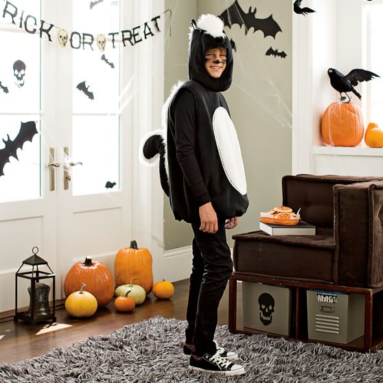 Skunk Teen Halloween Costume Pottery Barn Teen